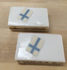 SUOMI-ALEKSI 2015.JPG